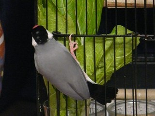 s-P1110537.jpg