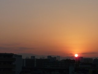 s-P1110640.jpg