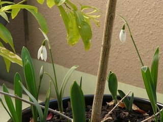 s-P1110777.jpg