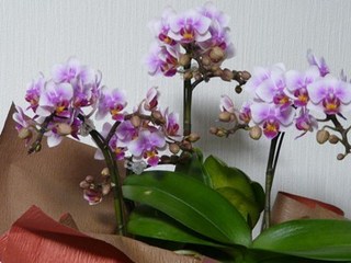 s-P1110808.jpg