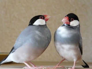 s-P1120067.jpg