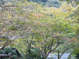 s-P1120964.jpg