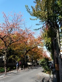 s-P1130025.jpg