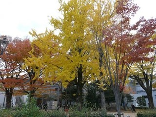 s-P1130054.jpg