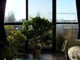 s-P1130071.jpg