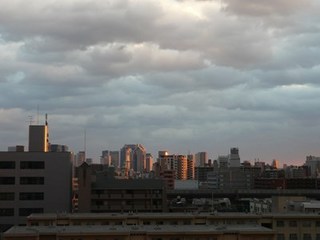 s-P1130091.jpg