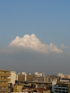 s-P1130528.jpg