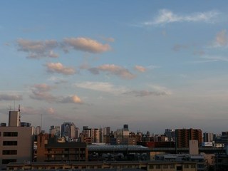 s-P1130628.jpg