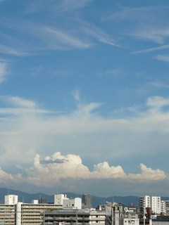 s-P1130670.jpg