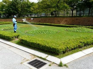 s-P1130690.jpg