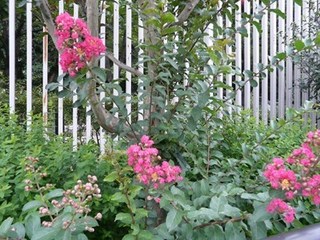 s-P1130720.jpg