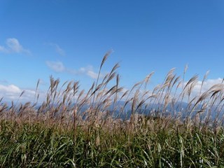 s-P1130777.jpg