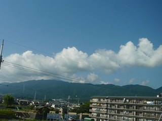 s-P1140555.jpg