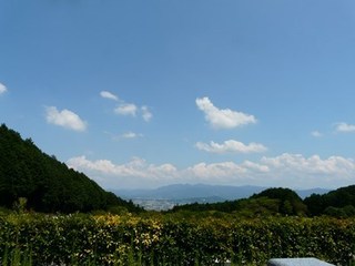 s-P1140557.jpg