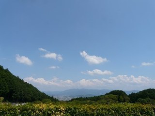 s-P1140563.jpg