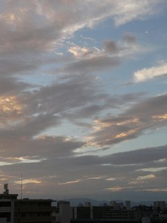 s-P1140585.jpg