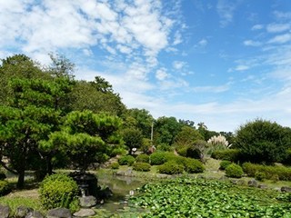 s-P1140635.jpg