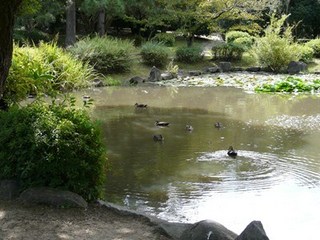 s-P1140636.jpg
