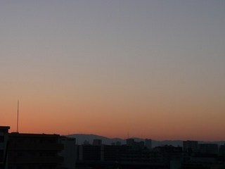 s-P1140651.jpg