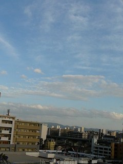 s-P1140660.jpg