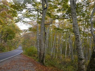 s-P1140709.jpg