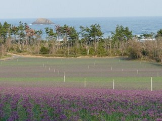 s-P1140715.jpg
