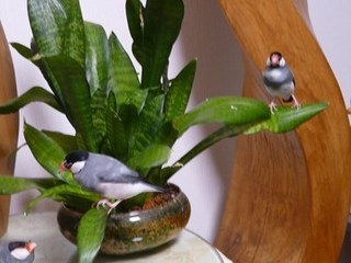 s-P1140755.jpg