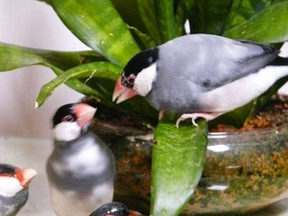 s-P1140758.jpg