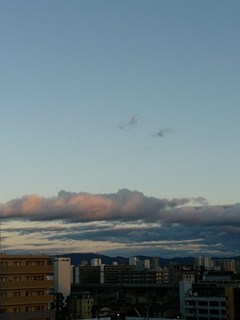 s-P1140790.jpg