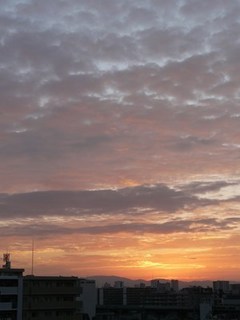 s-P1140806.jpg