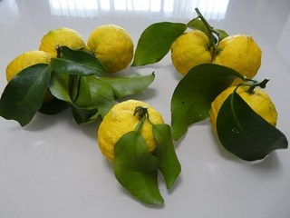 s-P1140807.jpg
