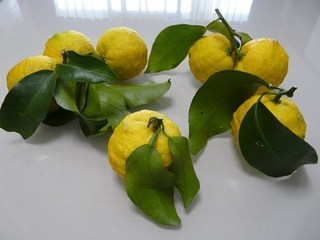 s-P1140807.jpg