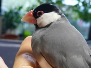 s-P1140821.jpg