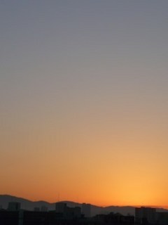 s-P1140829.jpg