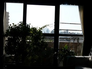 s-P1140842.jpg