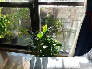 s-P1140847.jpg
