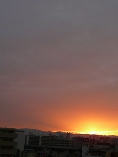 s-P1140856.jpg