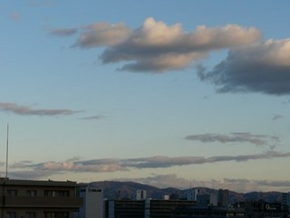 s-P1140883.jpg