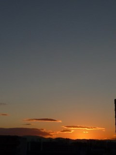 s-P1140922.jpg