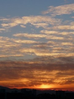 s-P1140946.jpg