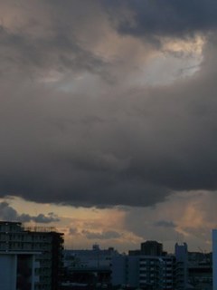 s-P1140959.jpg
