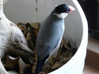 s-P1140974.jpg