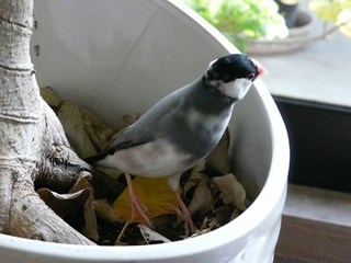 s-P1140978.jpg