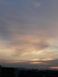 s-P1140981.jpg