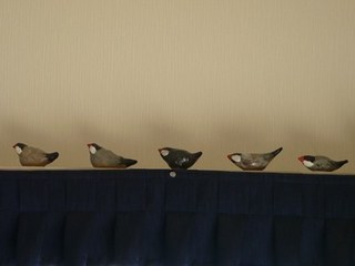 s-P1140990.jpg