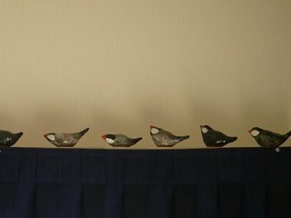 s-P1140991.jpg