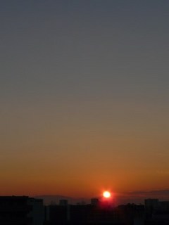 s-P1140992.jpg