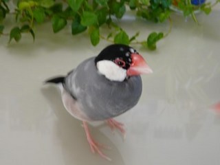 s-P1150002.jpg