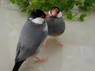 s-P1150003.jpg