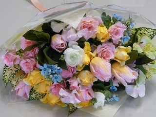 s-P1150050.jpg